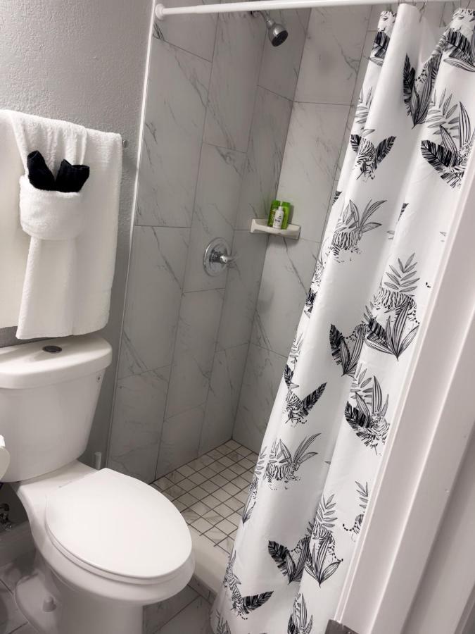 Appartement Dan G à Tampa Extérieur photo